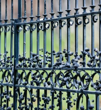 how to clean bird poop off wrought iron