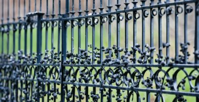 how to clean bird poop off wrought iron