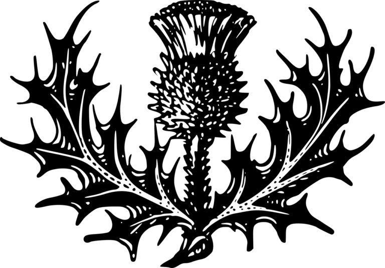 Early American Wrought Iron Hooks Review