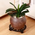 2 Packs 11 Inch Rolling Plant Stand Review