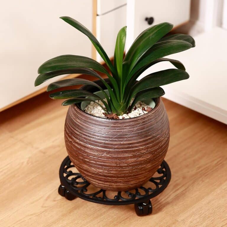 2 Packs 11 Inch Rolling Plant Stand Review