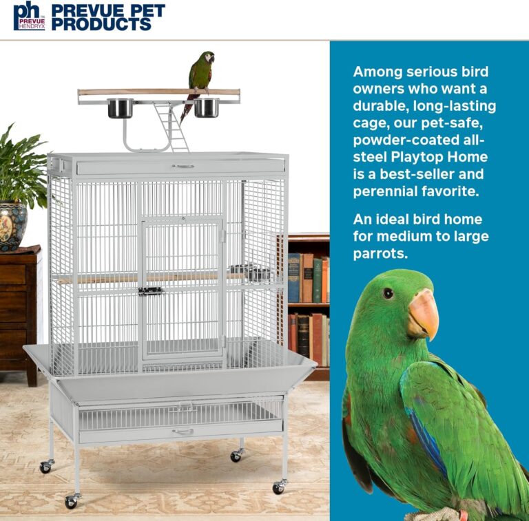 Prevue Pet Products Wrought Iron Bird Cage Review