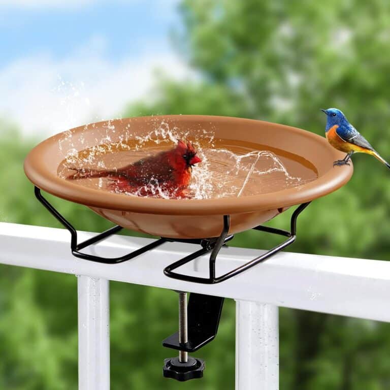Bird Bath Deck Mounted 12 Inches Review