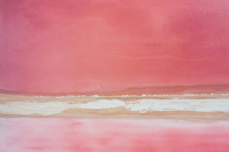 Review of Amazon.com