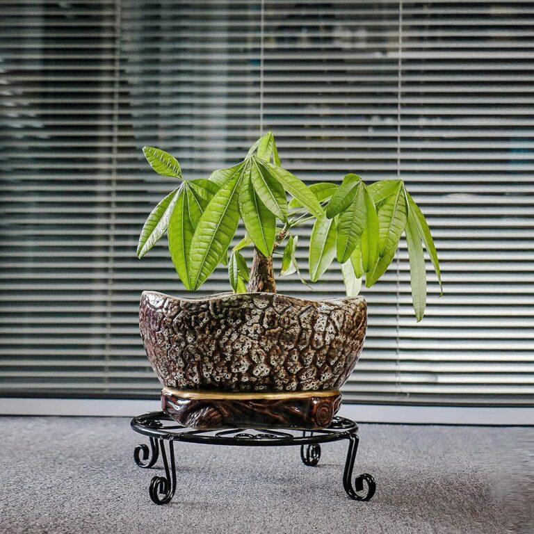 2 pack 10 12\” Rustproof Black Metal Plant Stands Review