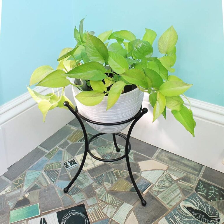 Achla Designs GBS-20 Multi-Use Stand Review