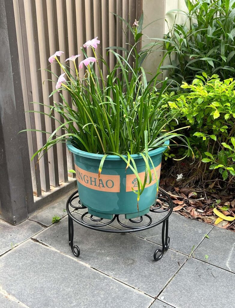 2 Pack 13 Diameter Metal Plant Stand for Large Plant/Flower Pot Heavy Duty Potted Holder Indoor Outdoor Rustproof Iron Display Stand,Black