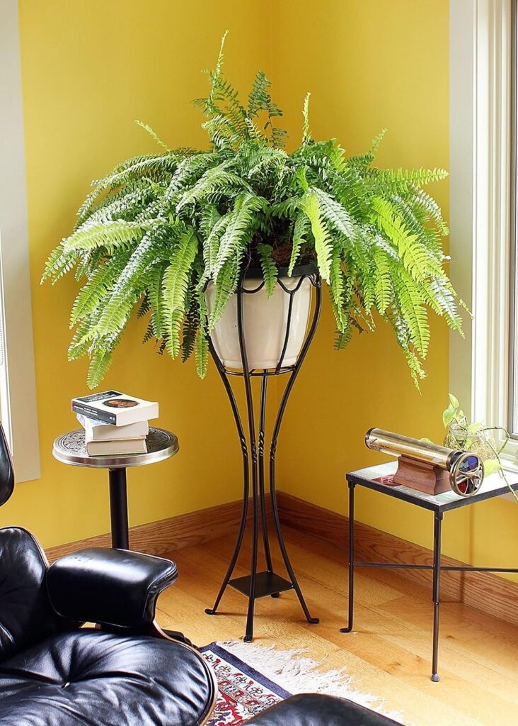 Achla VPS-04 Designs Verandah Wrought Iron Displaying Pots, Metal Plant Stand, Graphite