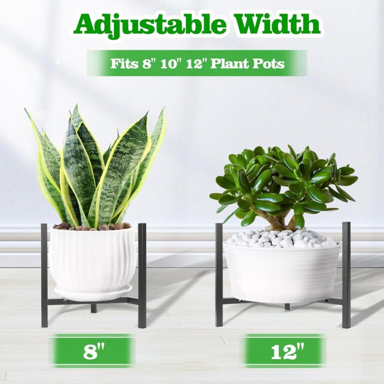 Airpark Plant Stand Indoor Adjustable review