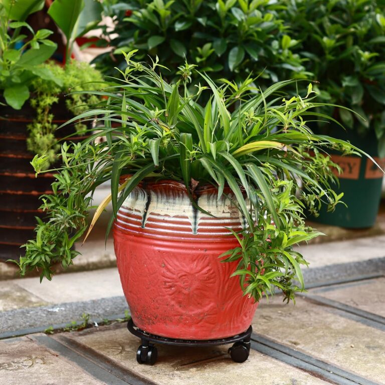 2 Pack Heavy Duty Metal Plant Stand Review