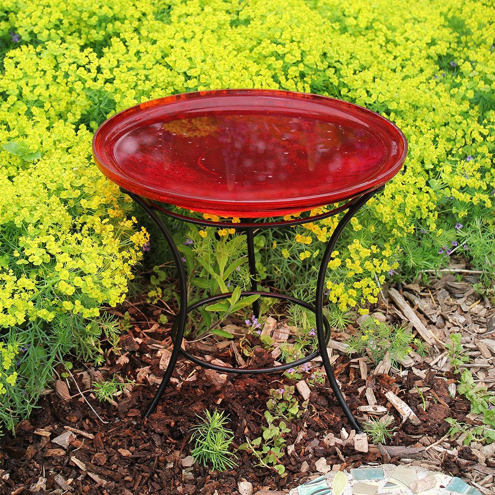 Achla Designs GBS-21 Multi-Use, Large Wrought Iron Metal Plant birdbath Bowl Stand Flowerpot Holder, Black, 10 Inch